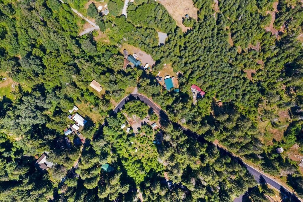 New Tiny Home Steps Away From Mt. Rainier Ashford Exterior foto